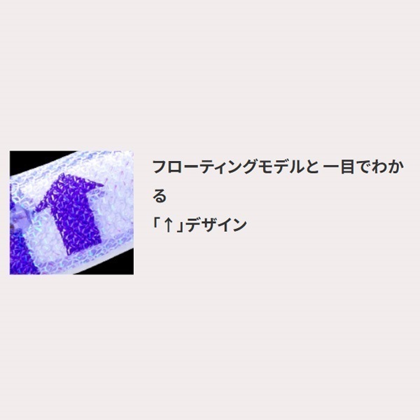 ウルトラオモリグ (フローティング) 2.5号